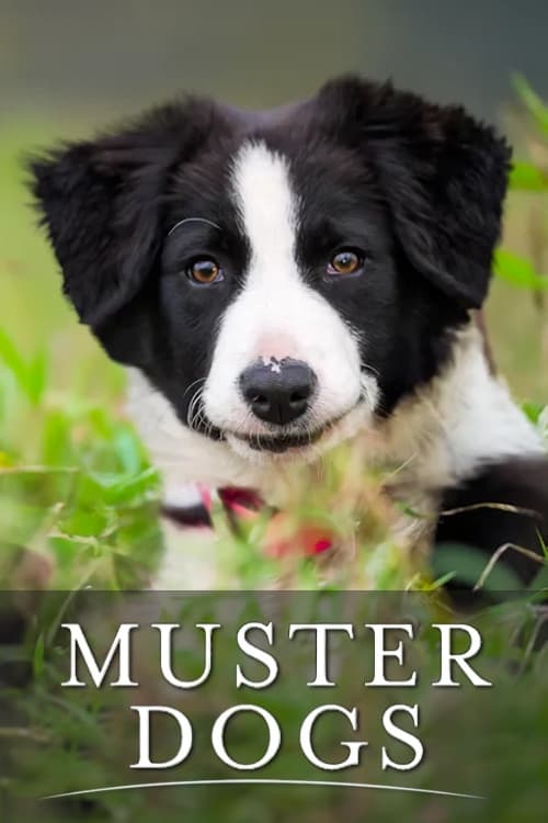 Muster Dogs (2023)